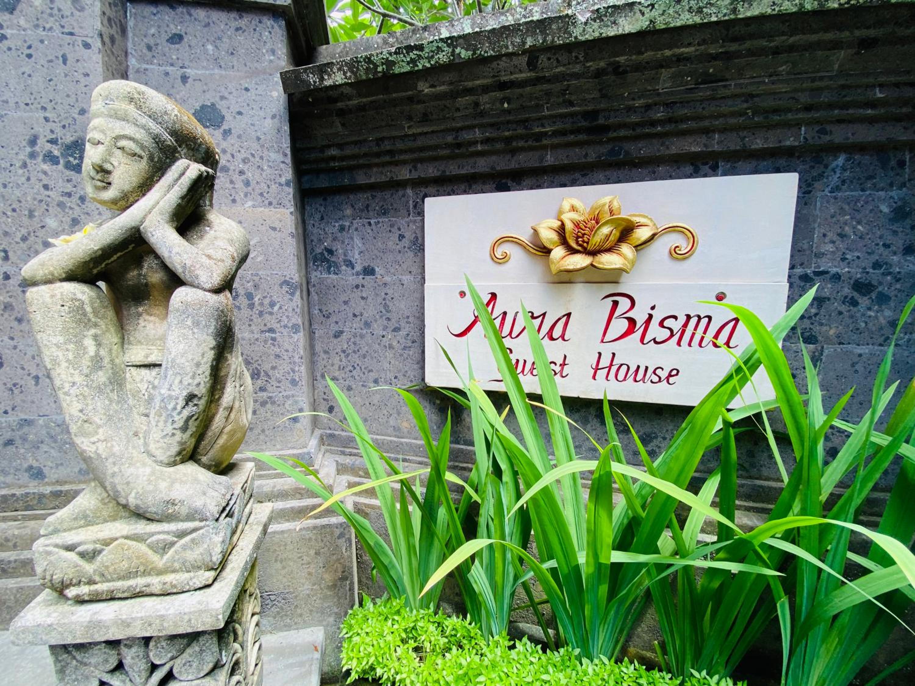 Aura Bisma Guesthouse view 3
