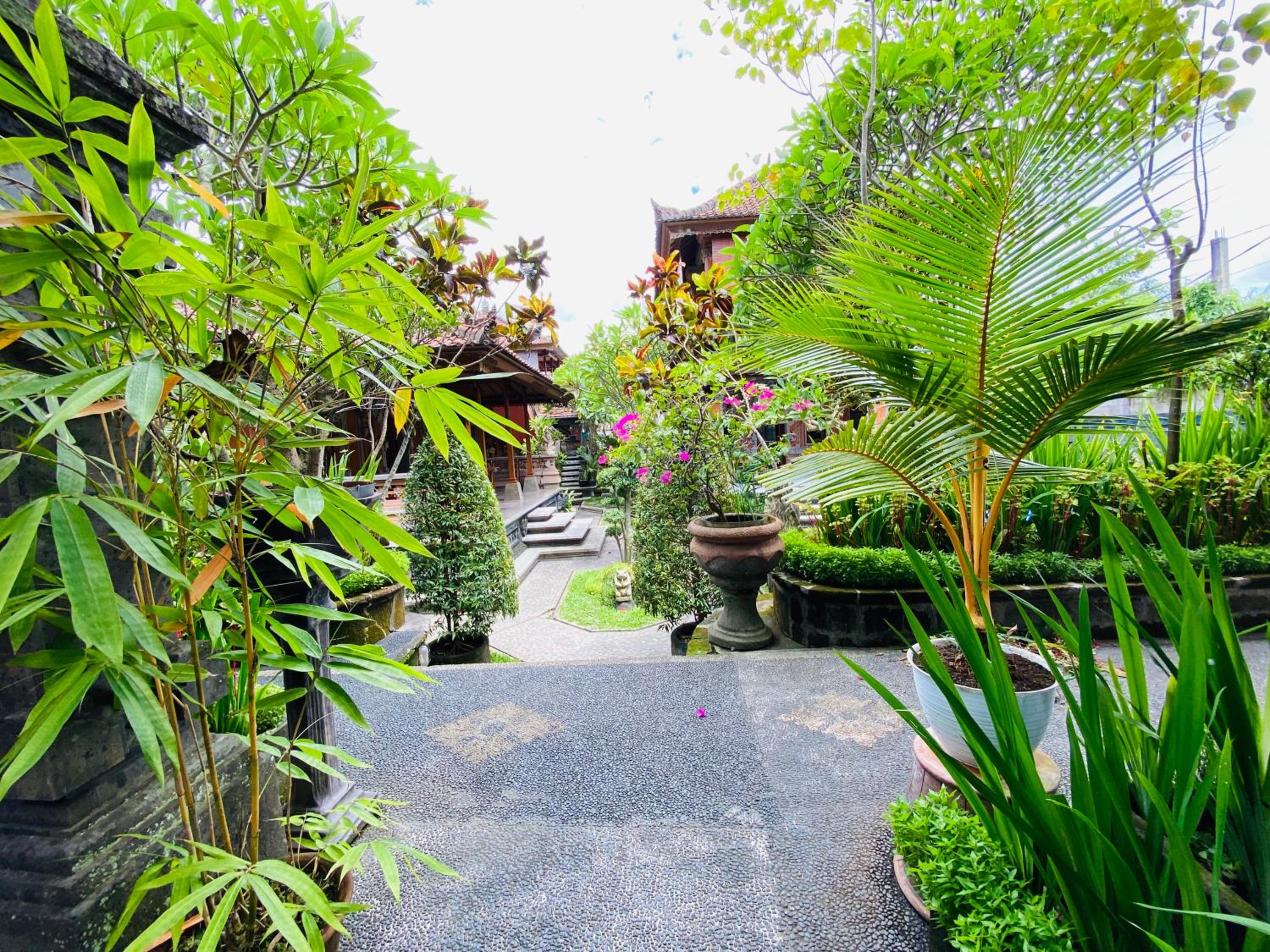 Aura Bisma Guesthouse view 2