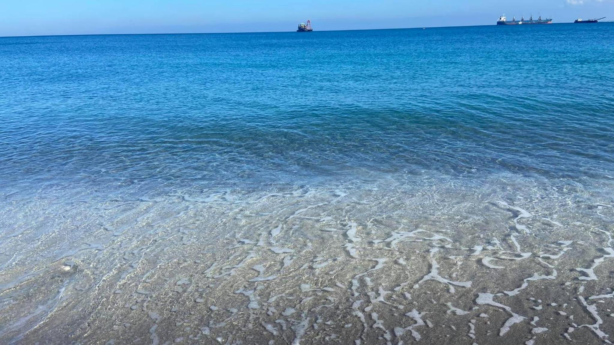 Campayapa