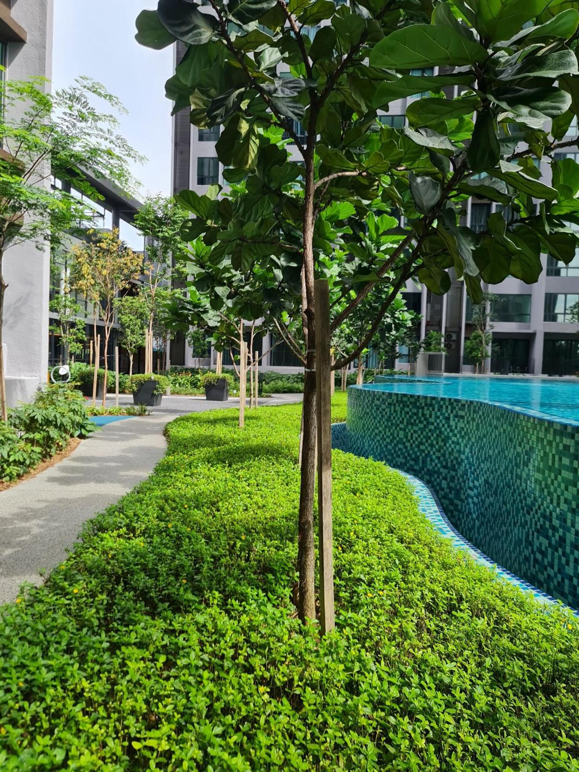Cubic Botanical Entire Unit Parking/Pool KL Bangsar photo 2