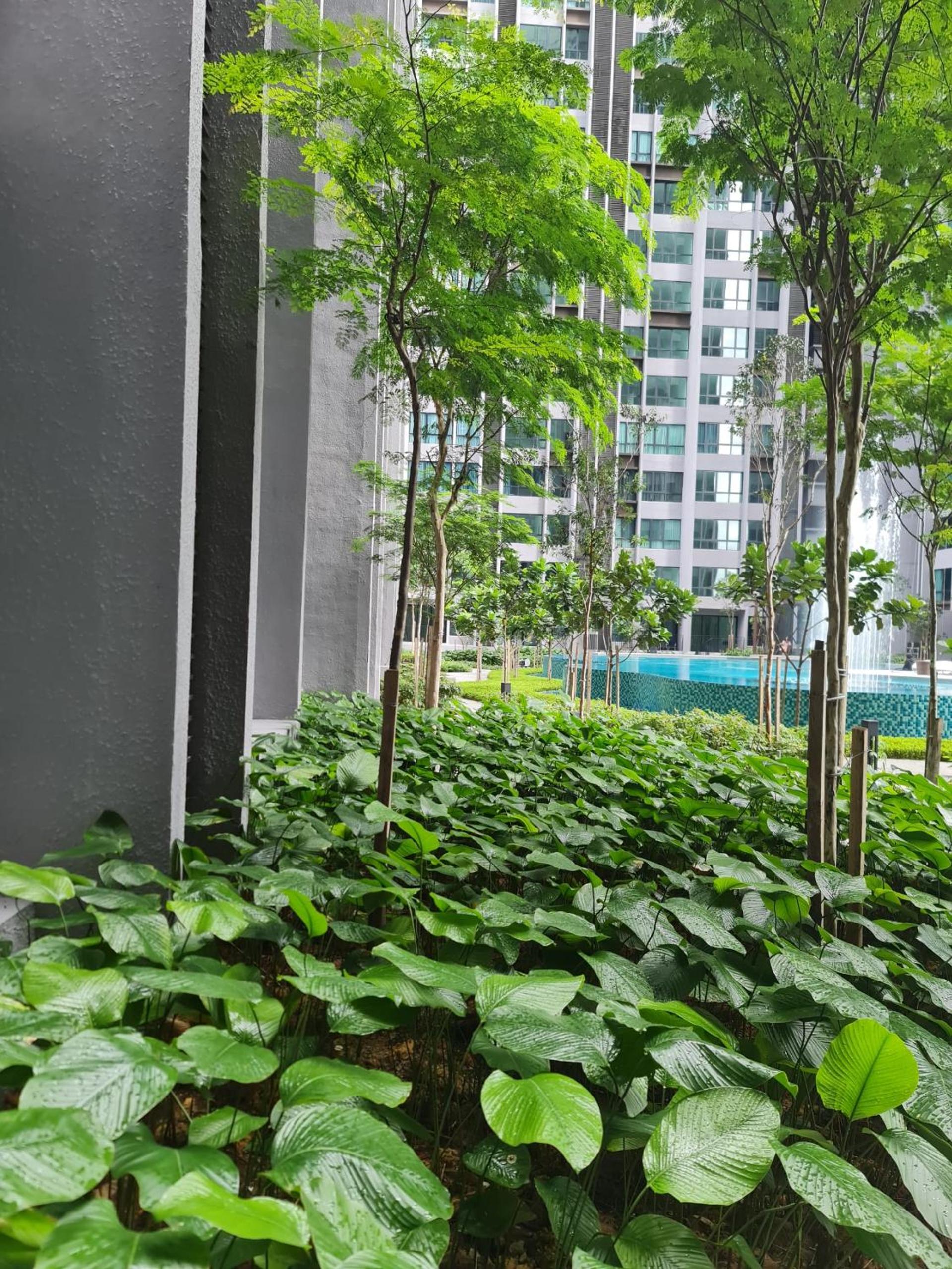 Cubic Botanical Entire Unit Parking/Pool KL Bangsar photo 7