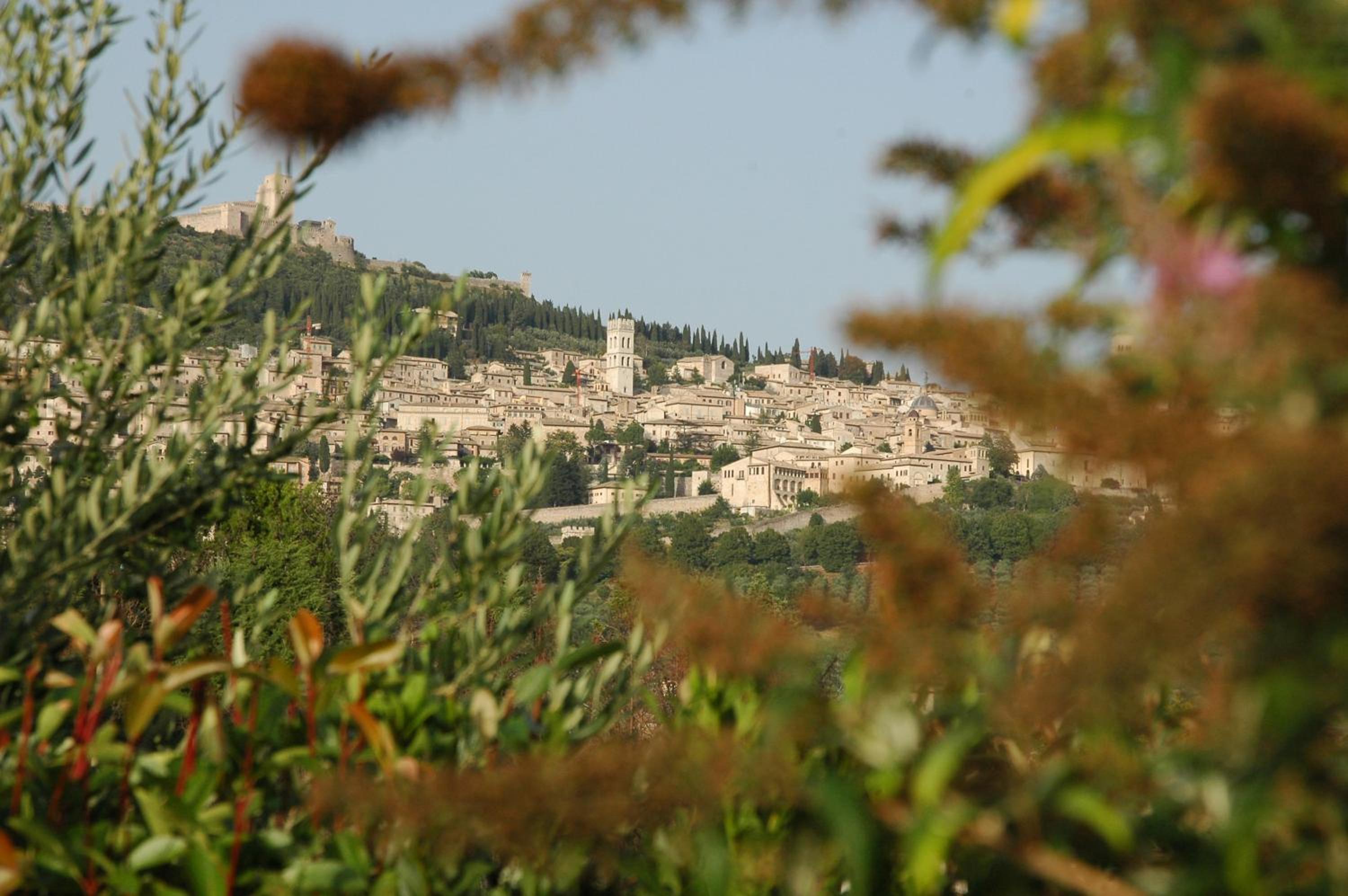 Il Podere del Falco