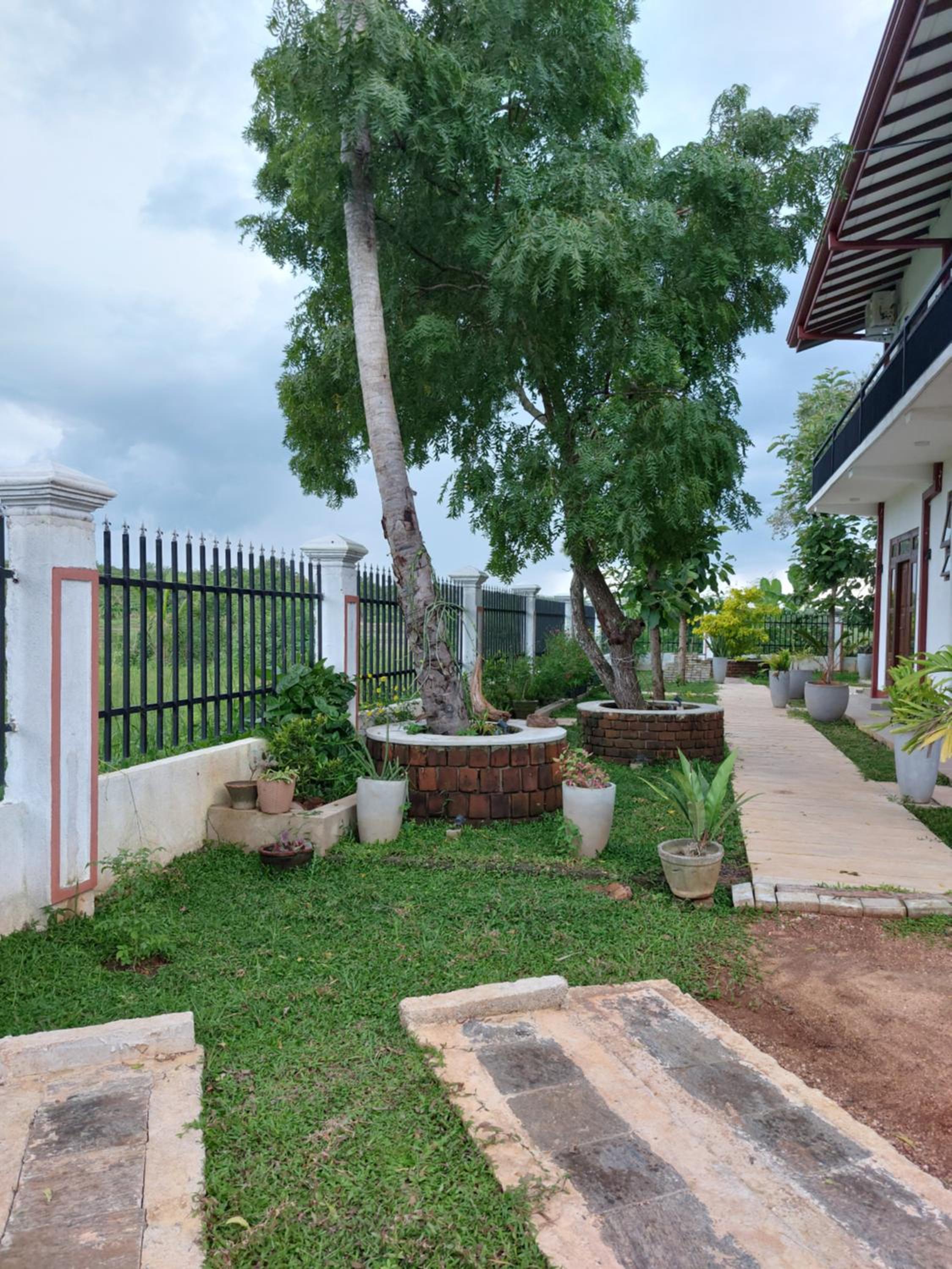 Green Shield Resort view 2
