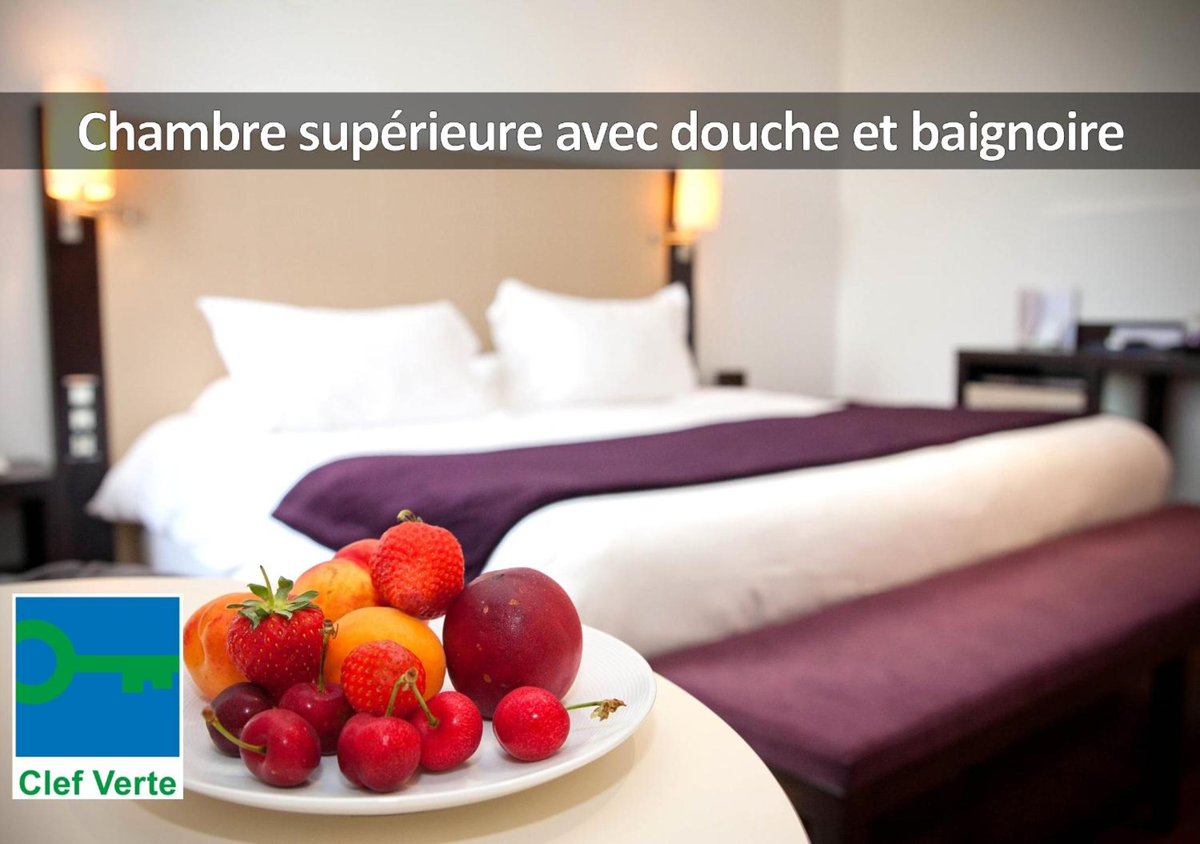 Rodez Vacations - HOTEL LA FERME DE BOURRAN - ecoresponsable parking gratuit - Property Image 4