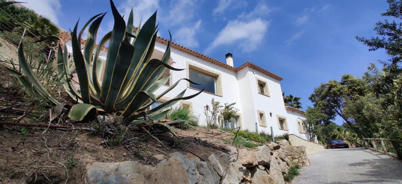 Villa Mas Nou