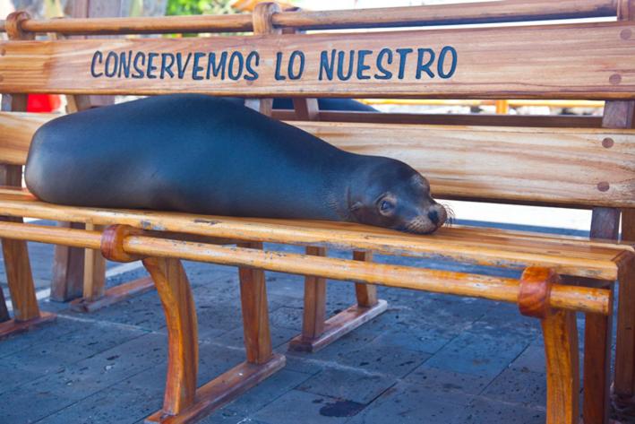 Casa Playa Los Marinos