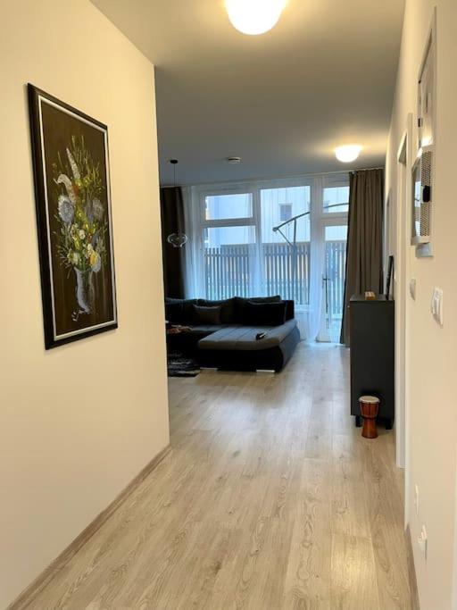 Amazing large 2,5rooms with terrace and parking! view 3