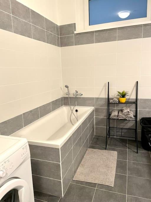 Amazing large 2,5rooms with terrace and parking! view 4