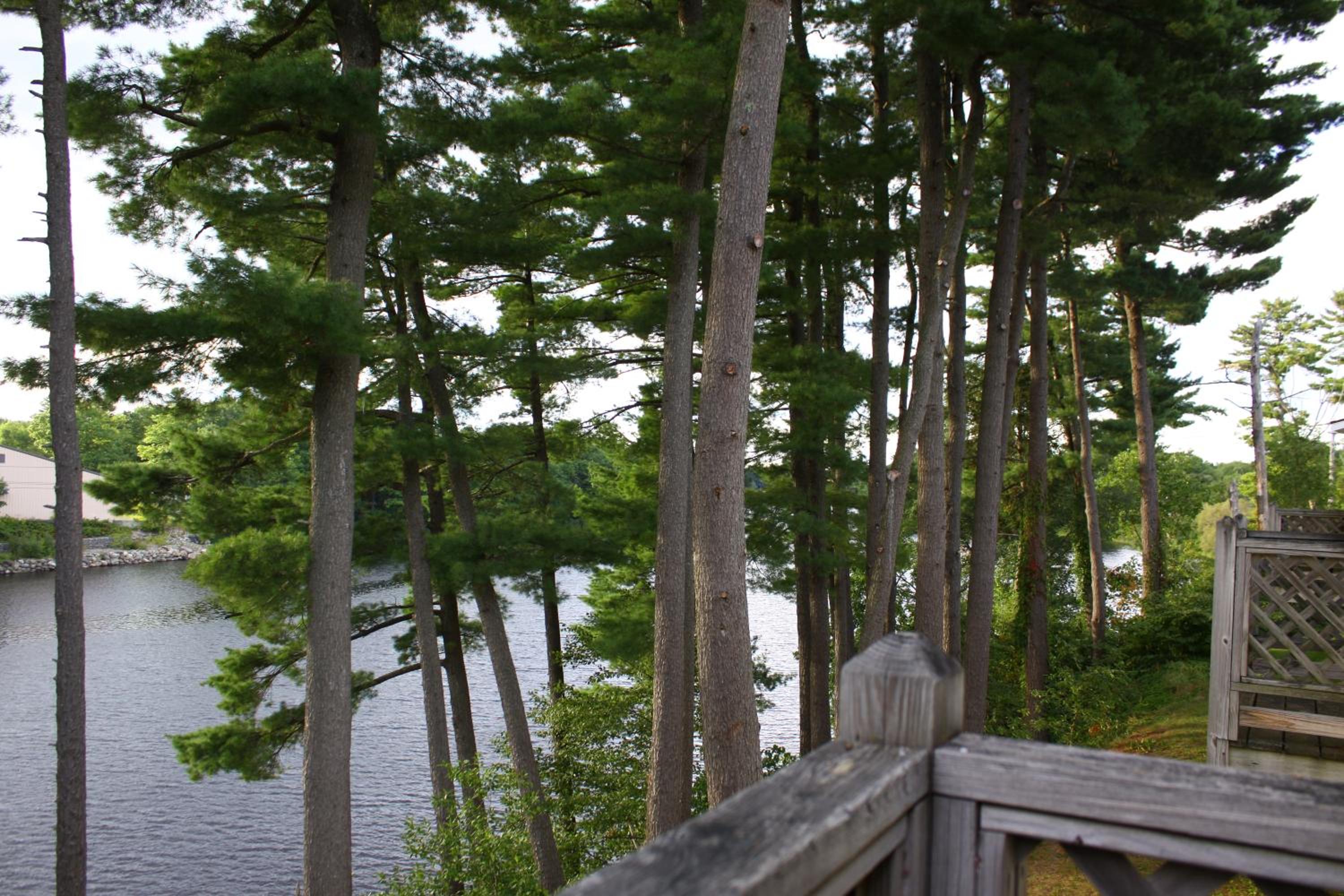 Milford Motel On the River