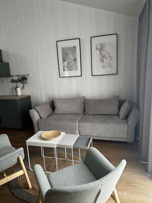 Jaukūs apartamentai Svencelėje