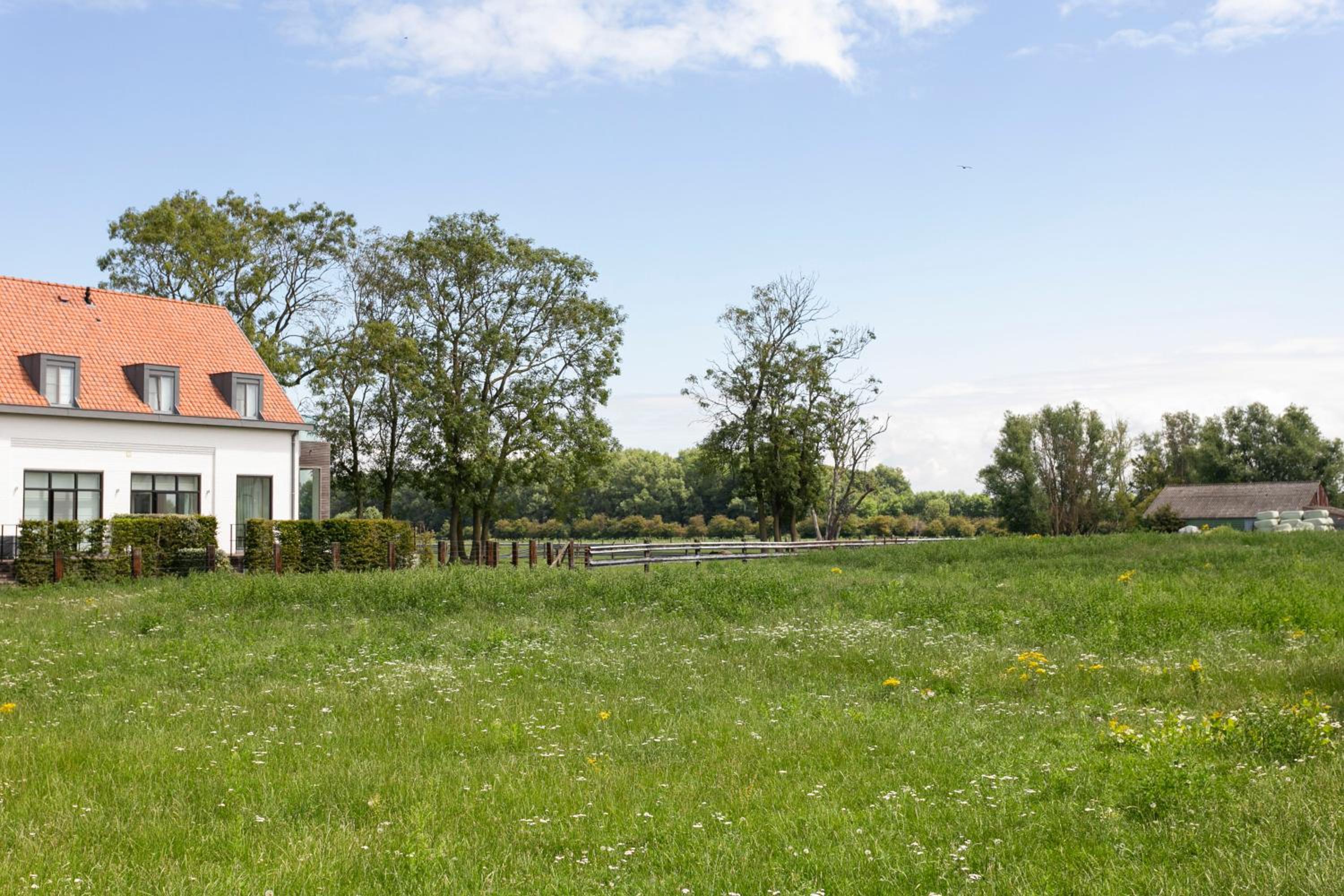 Het Zwinhuis - Spacious and comfortable family home near 't Zwin