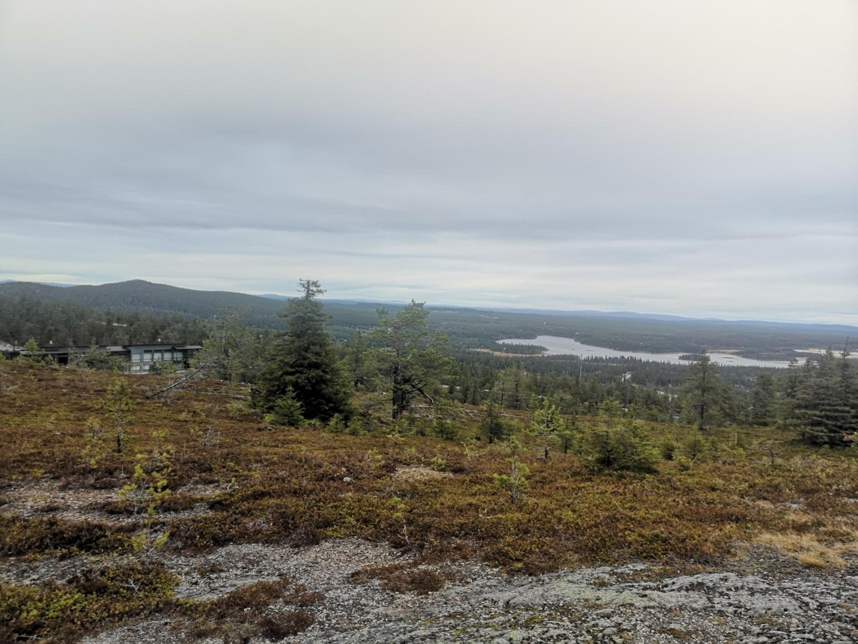RukaRintelä