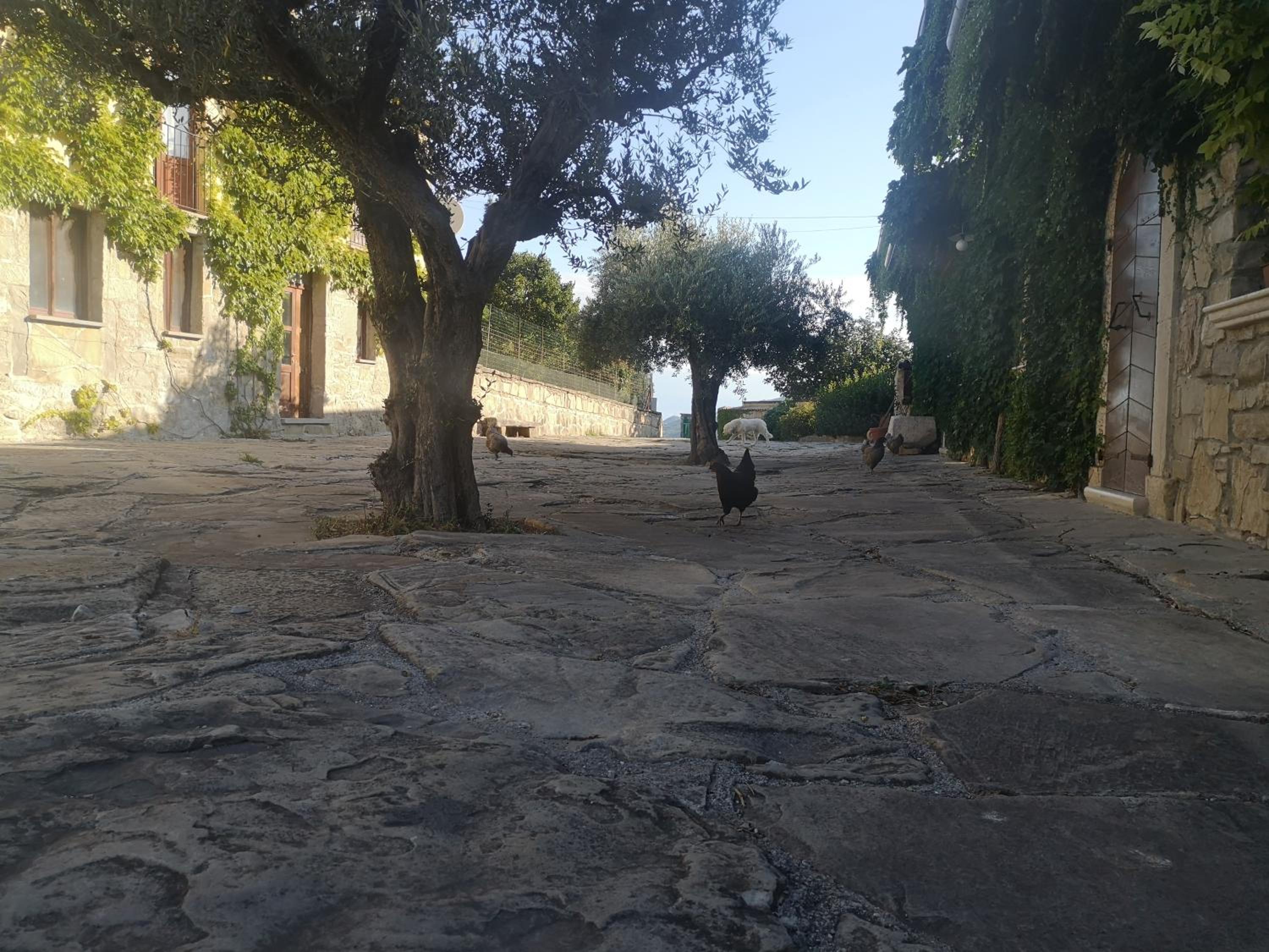 Agriturismo Olimpo