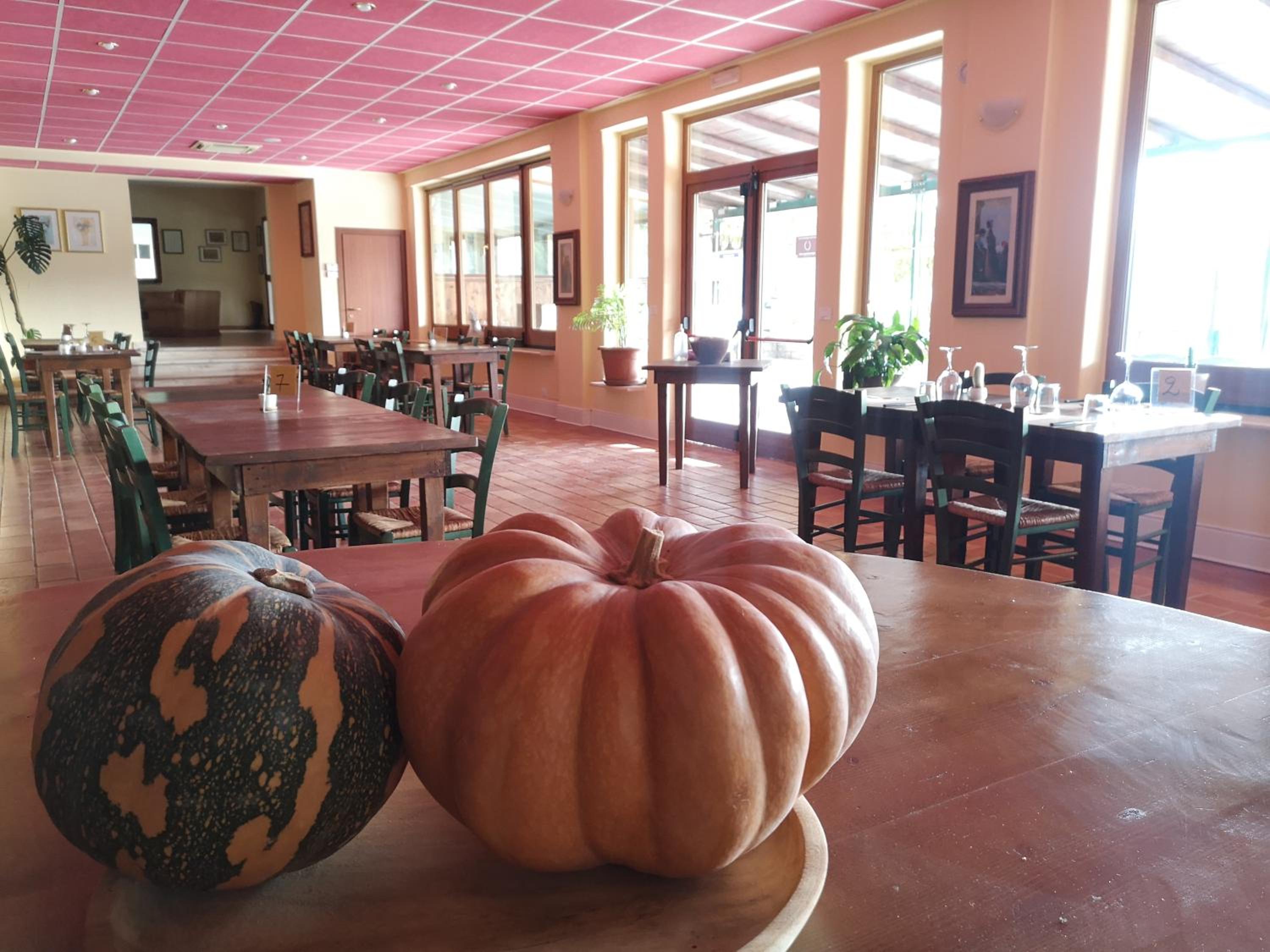 Agriturismo Olimpo