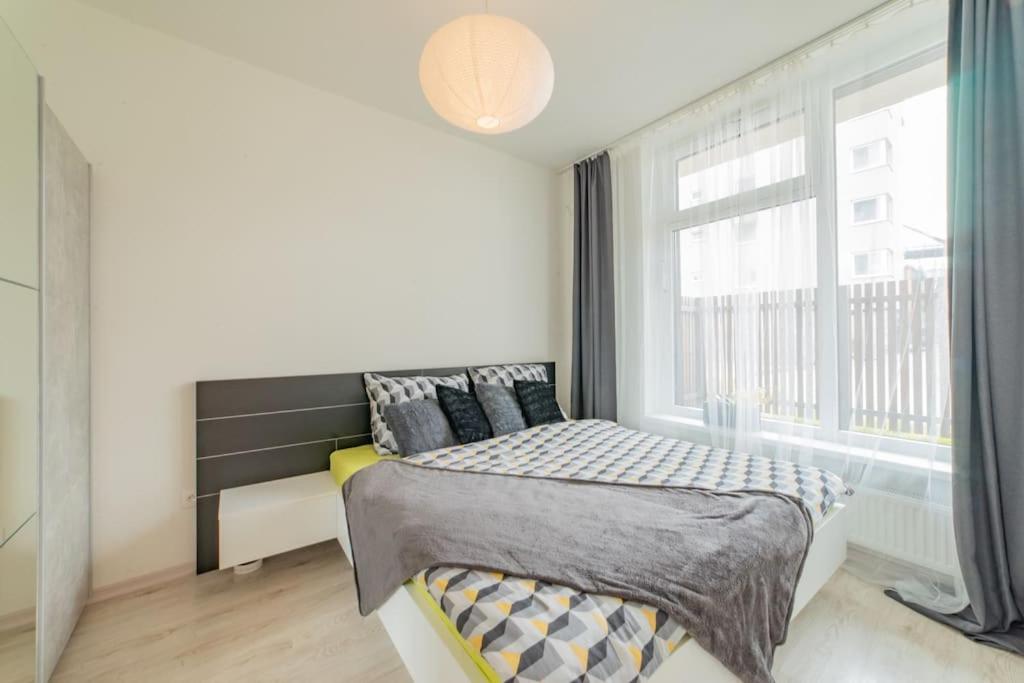 New, sunny, terrace, parking free! view 5