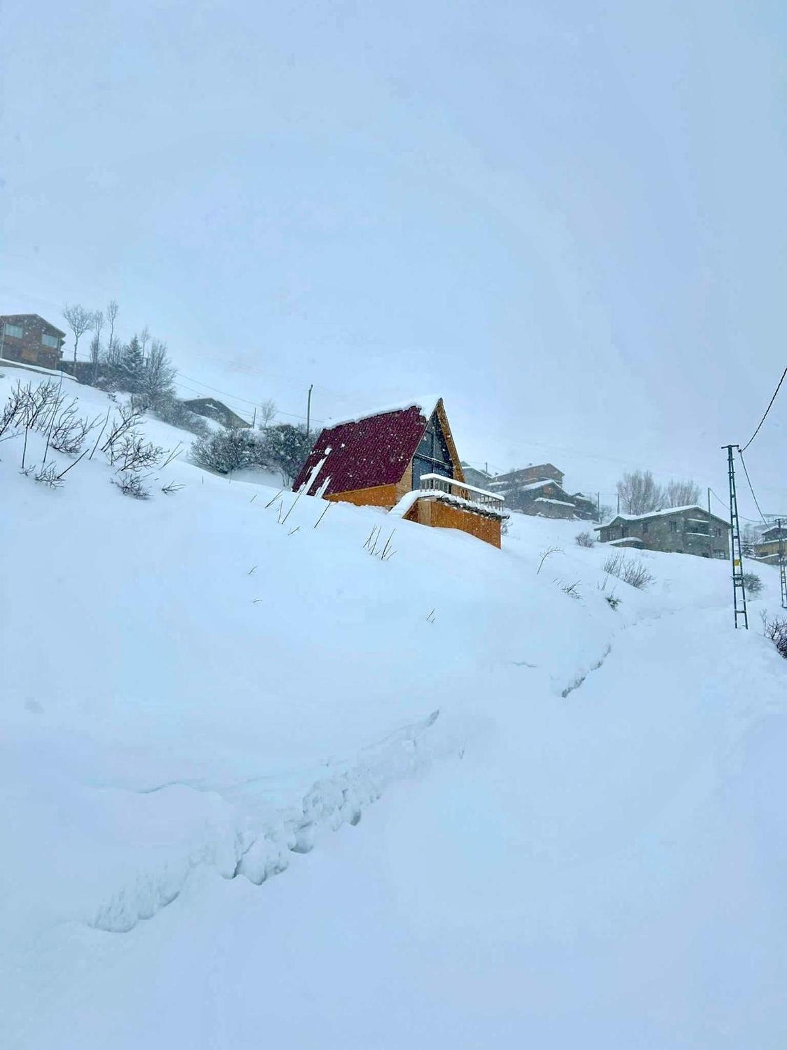 halduzendagevi