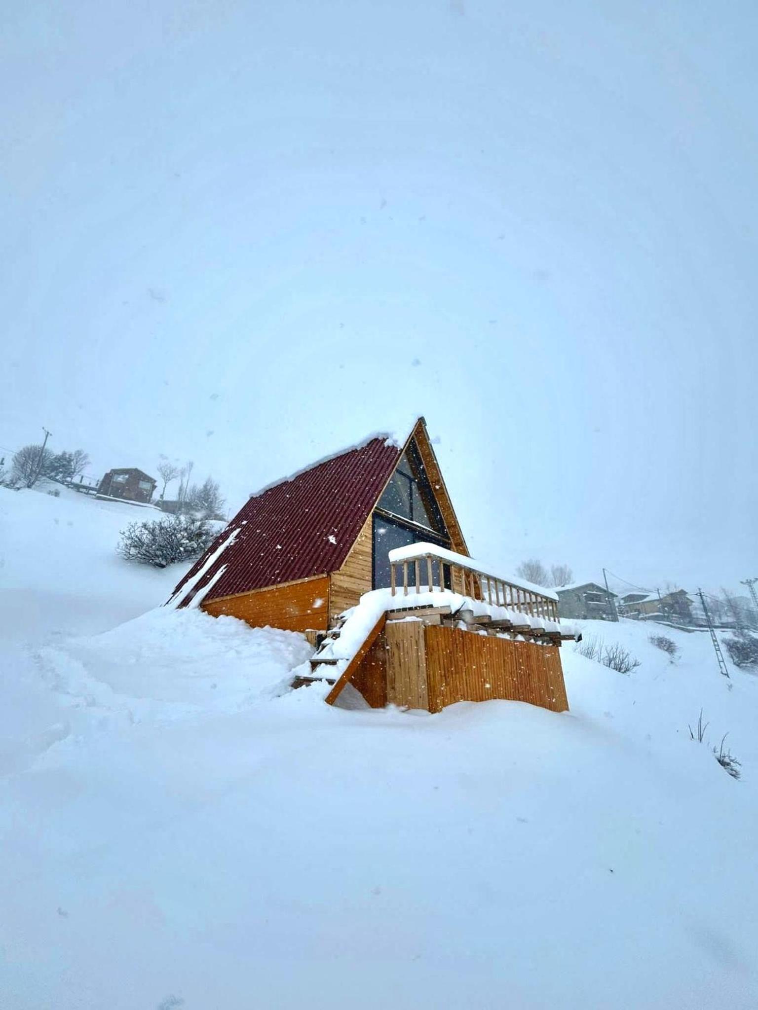 halduzendagevi