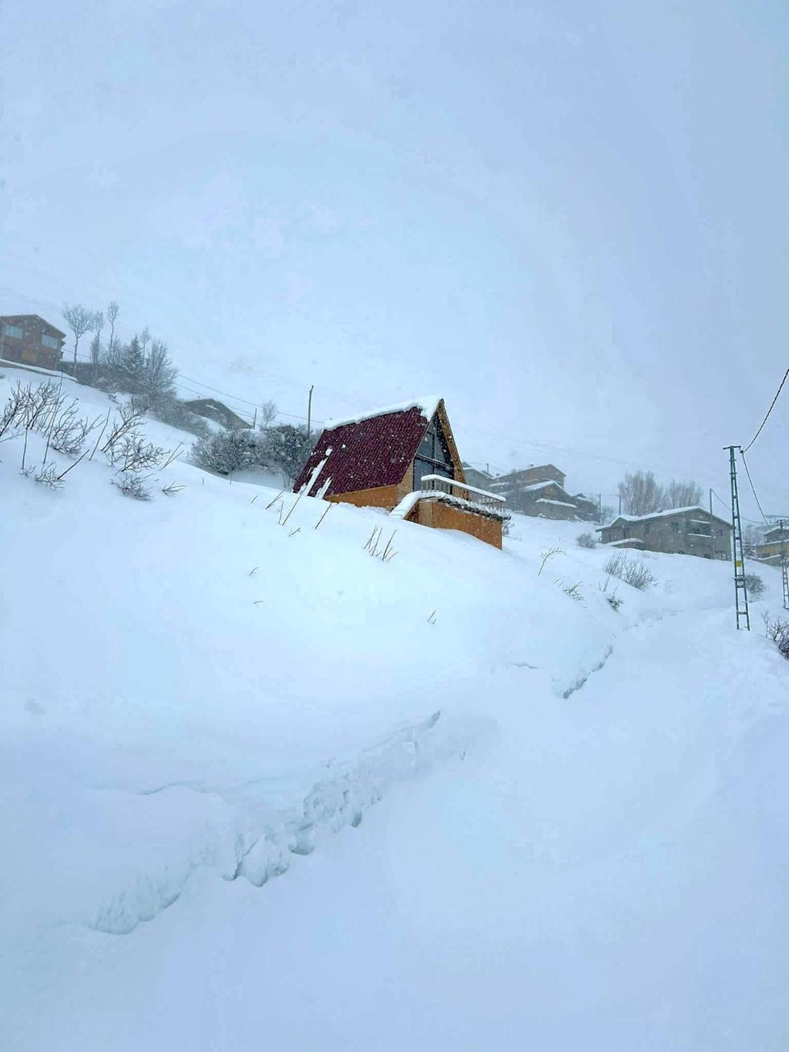 halduzendagevi