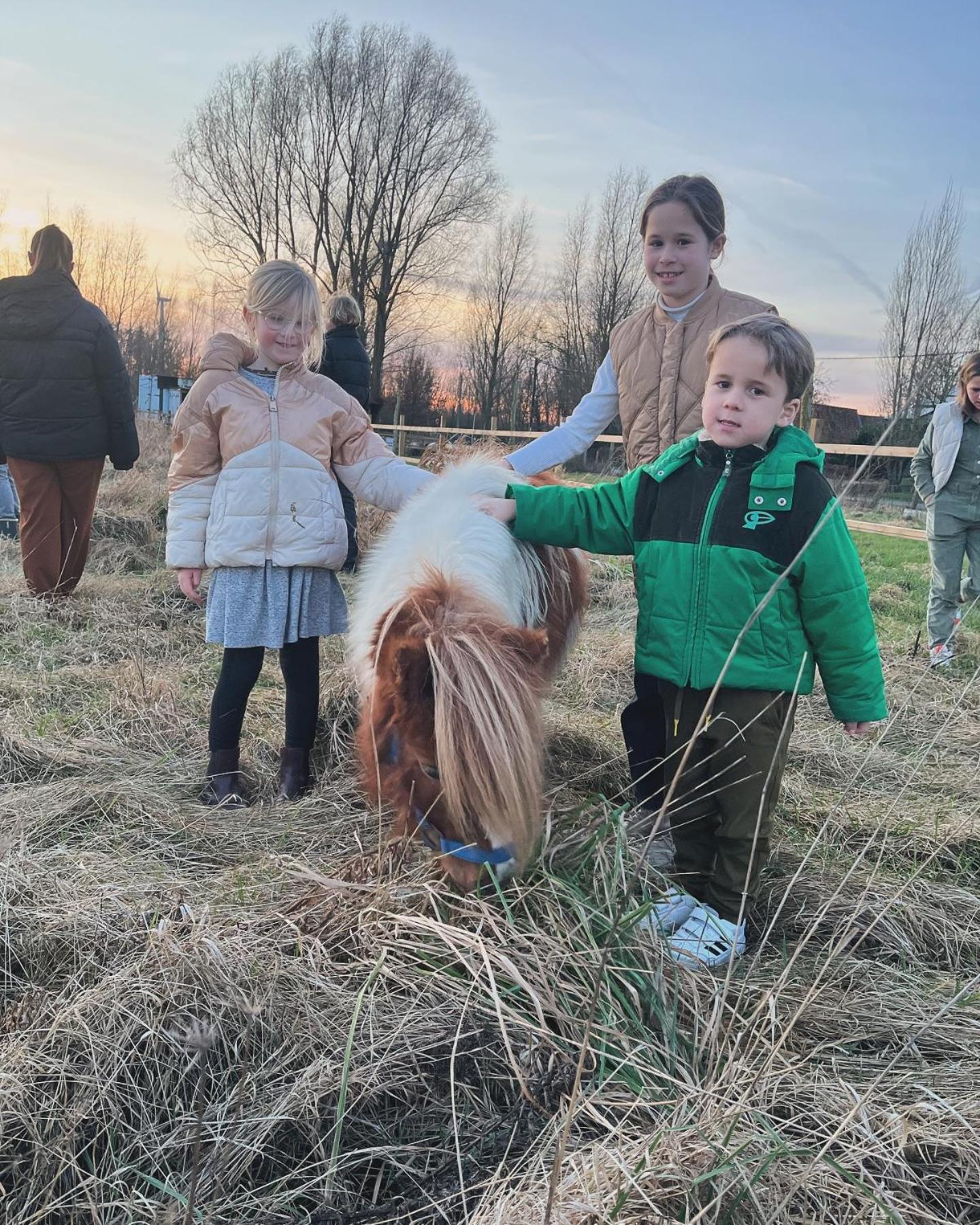 De Skure: vakantiewoning op boerderij