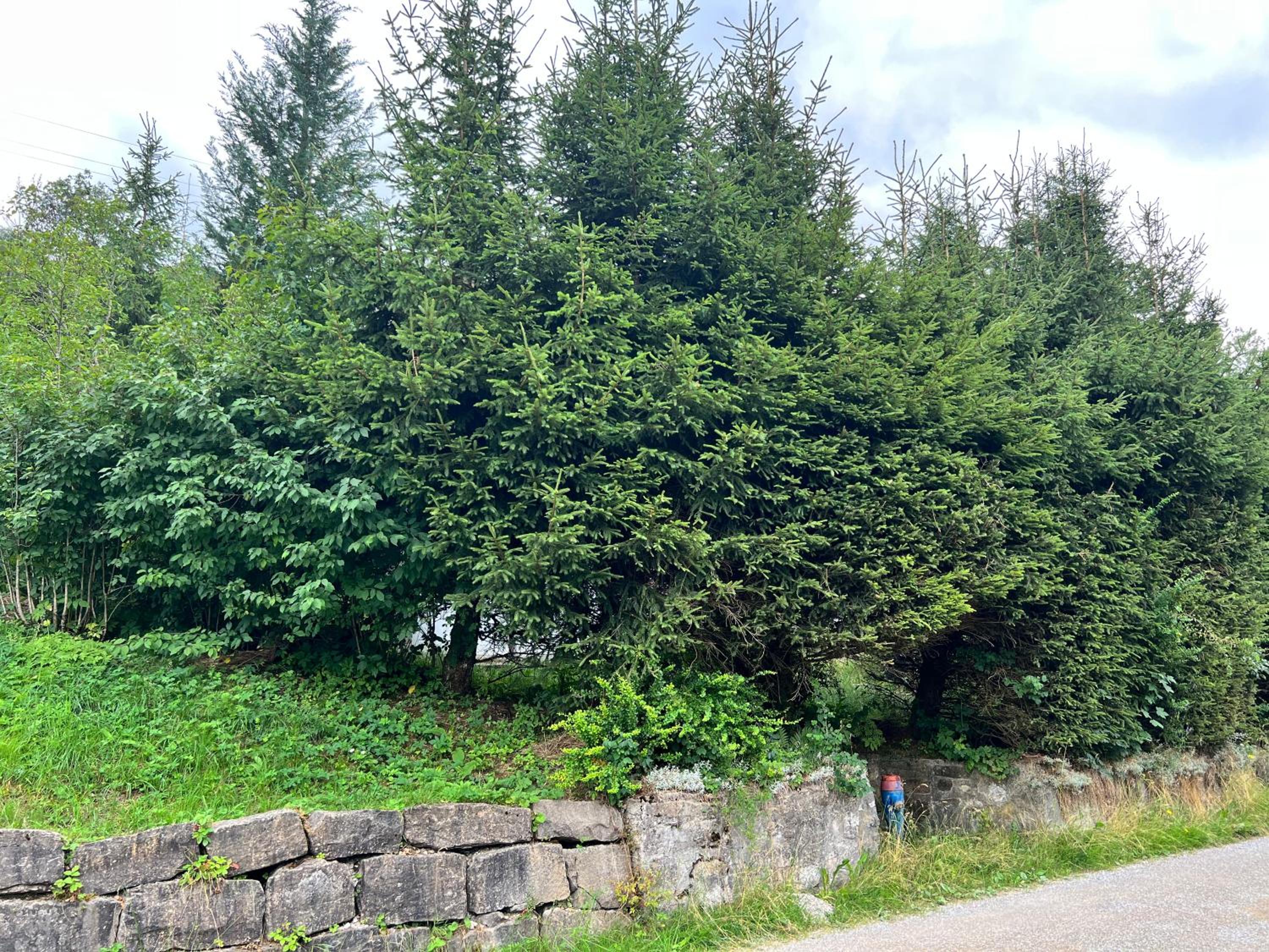 Chalet Hildegard