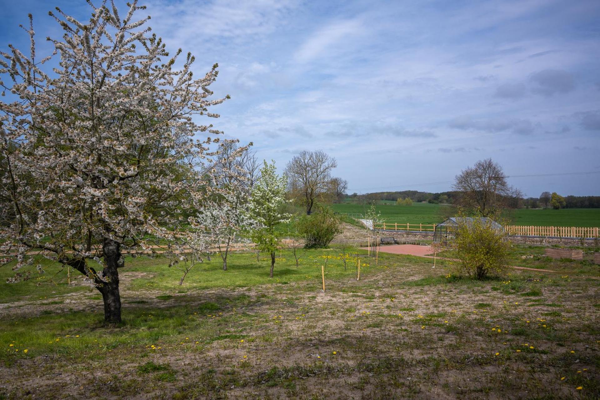 Ferienwohnungen - barrierefrei - im sanierten Gutshof