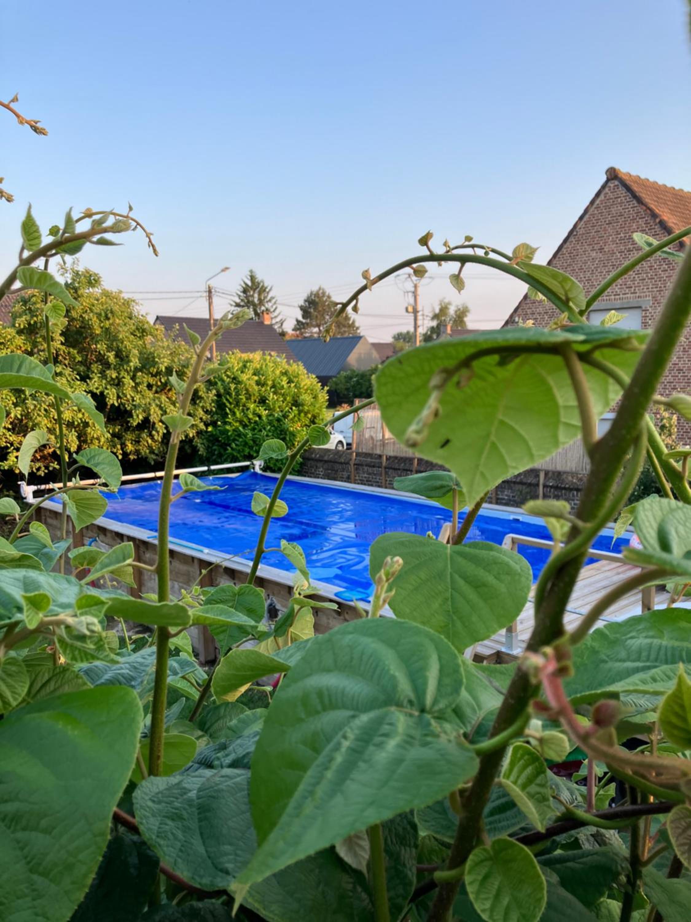 La Canopée, photo 20