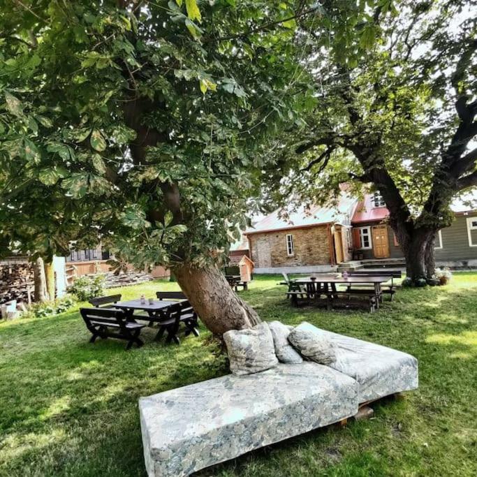 Photo 8