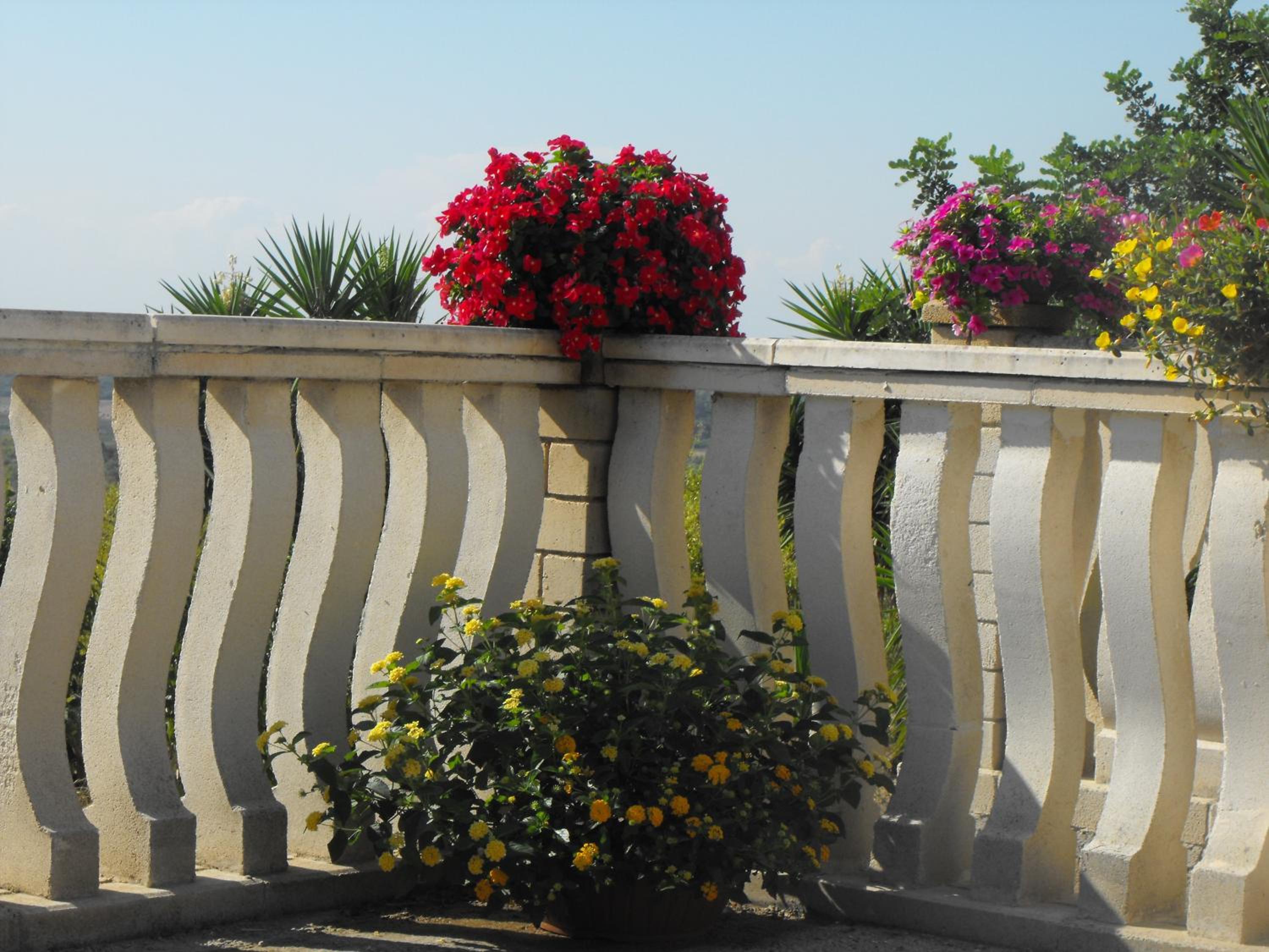 Agriturismoeloropizzuta