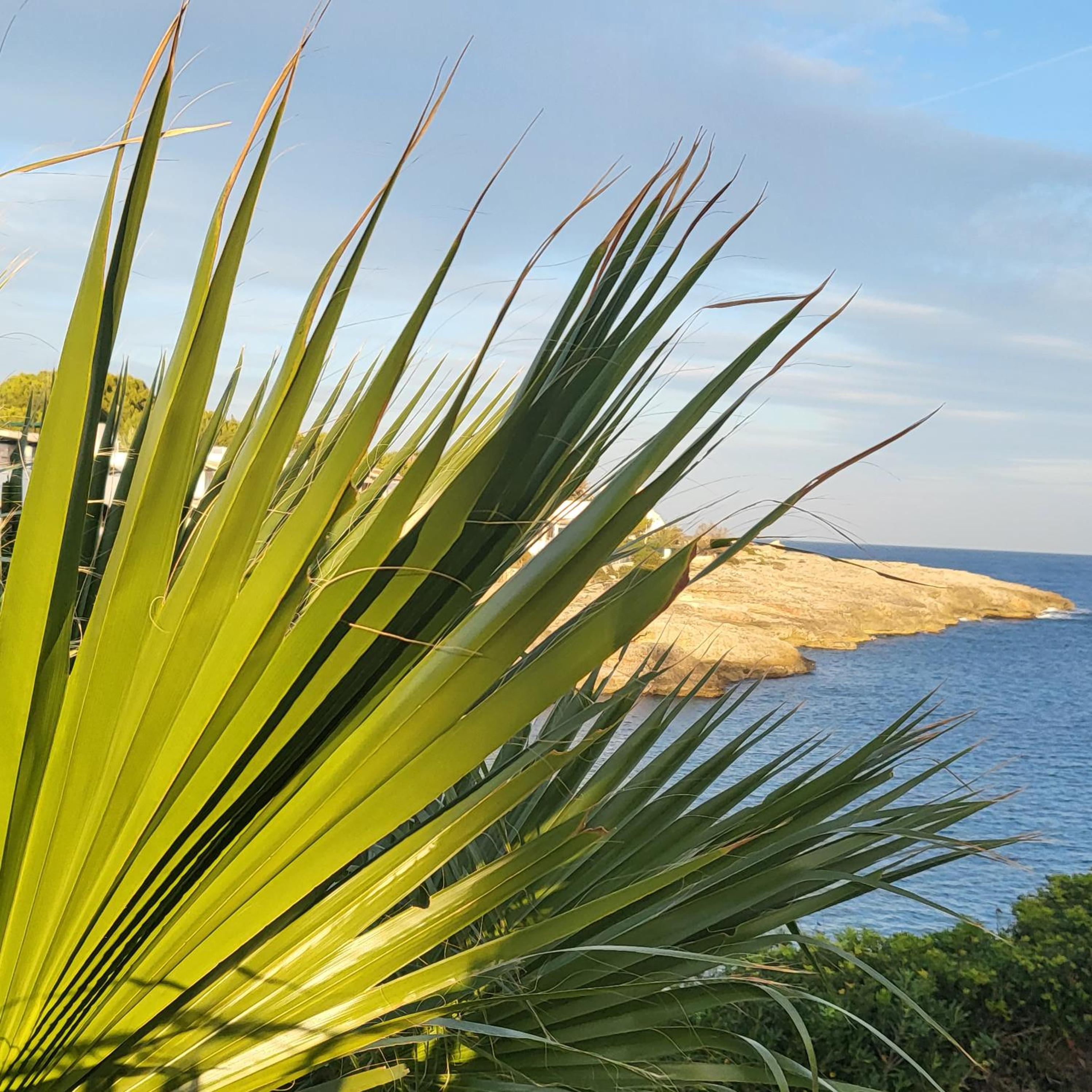 Casa Voramar
