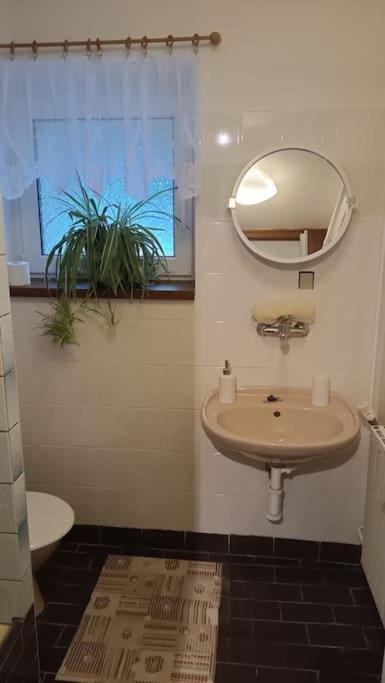 Apartmá Adam