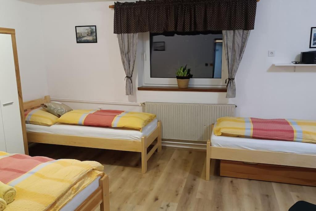 Apartmá Adam