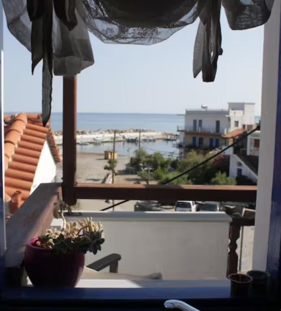 The Light Blue House view 5