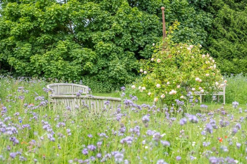 Hill Farm Massingham