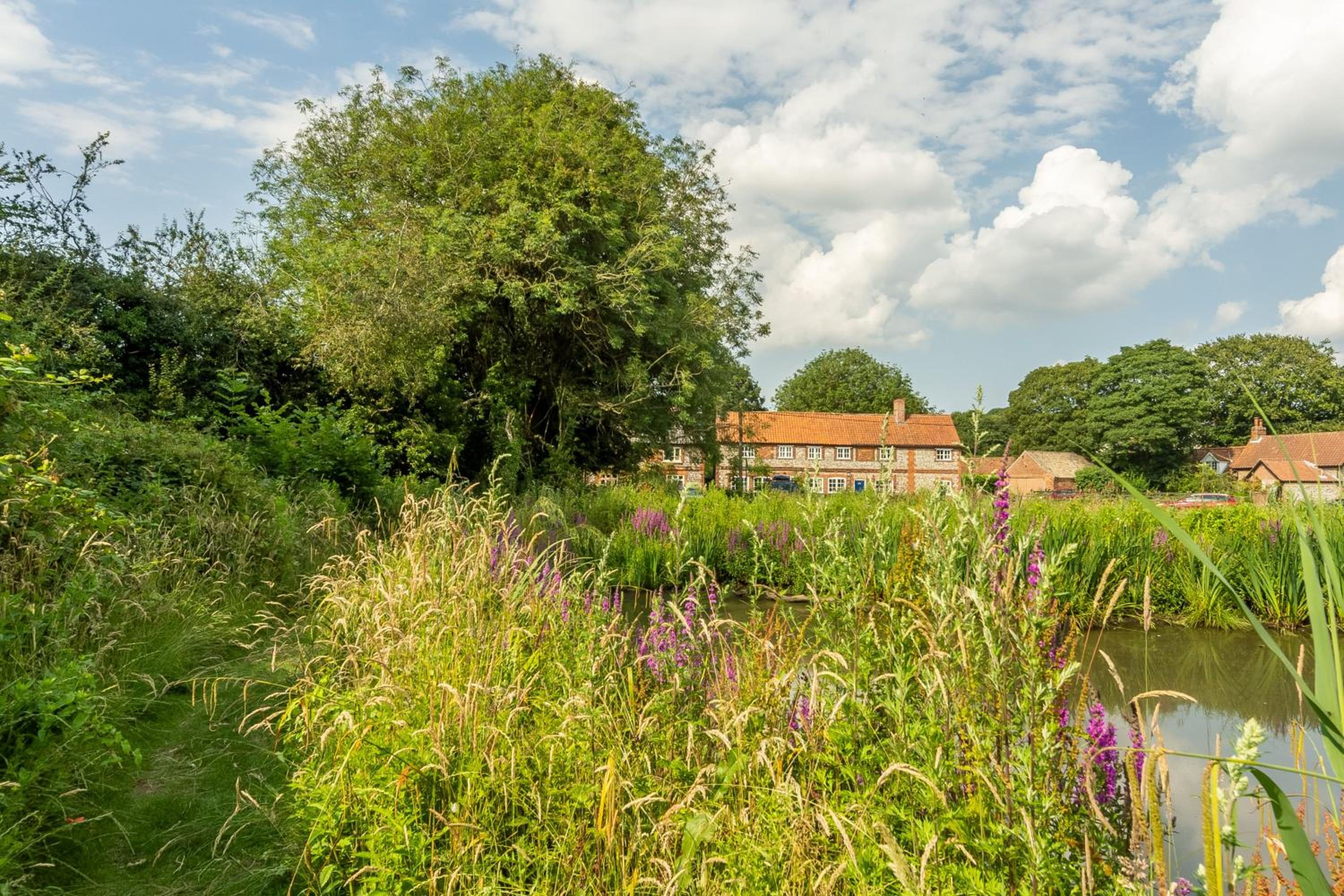 Hill Farm Massingham