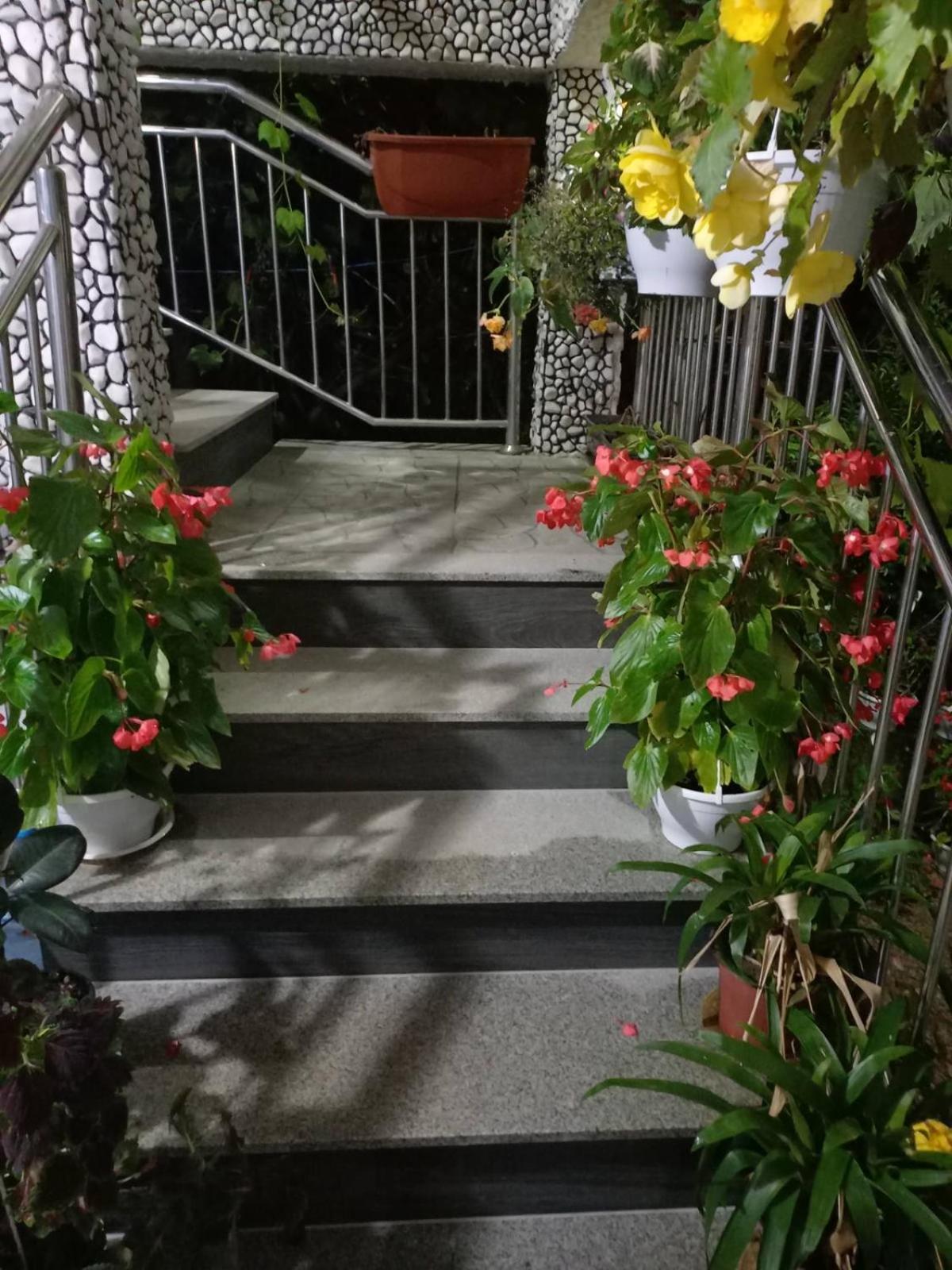 Apartman Varcar