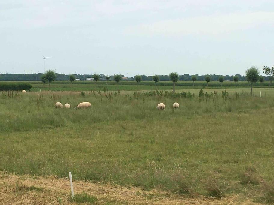 Bij Leentjer geheel appartement