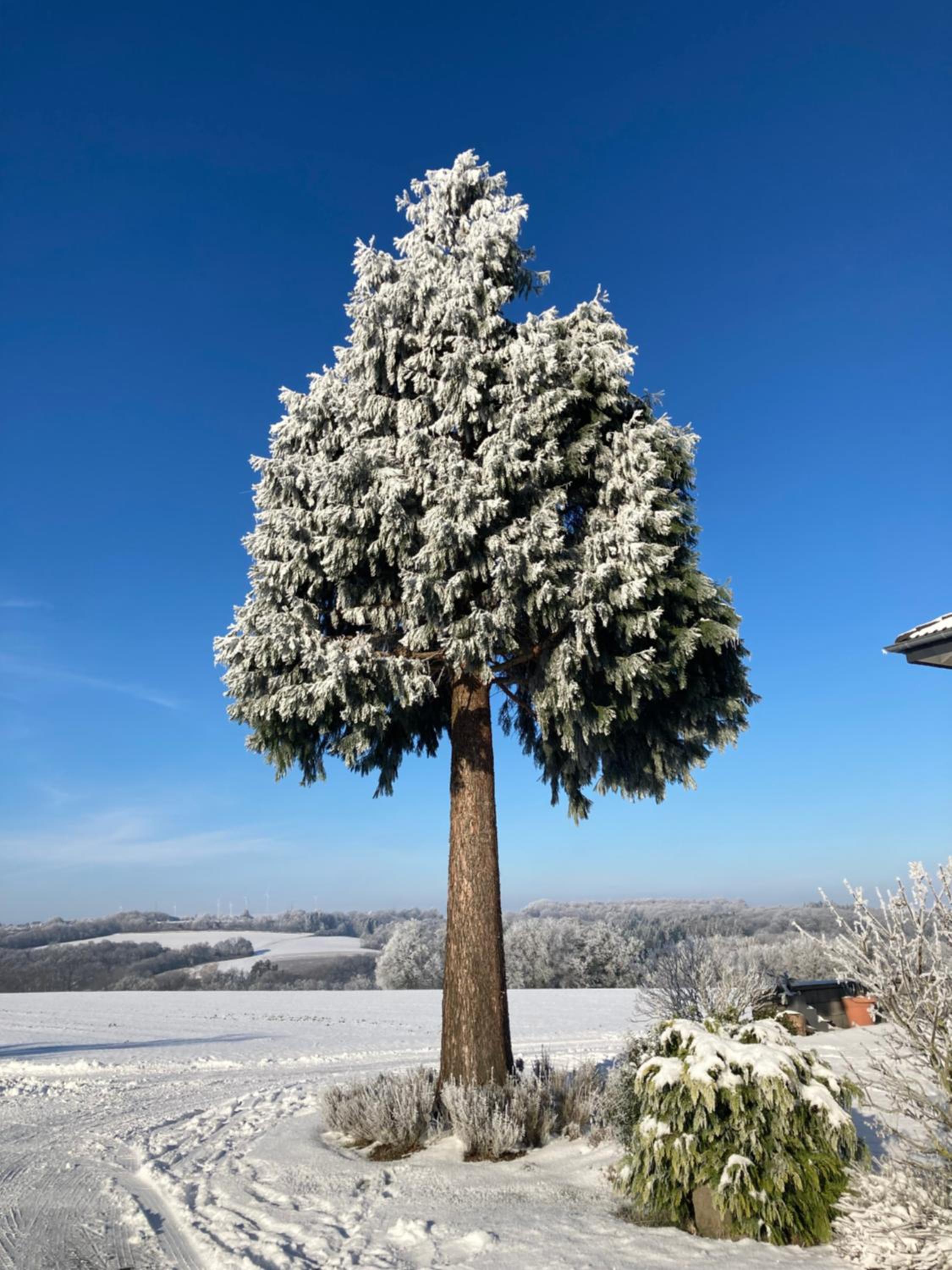 Ferienhaus Gartenblick in Brieden