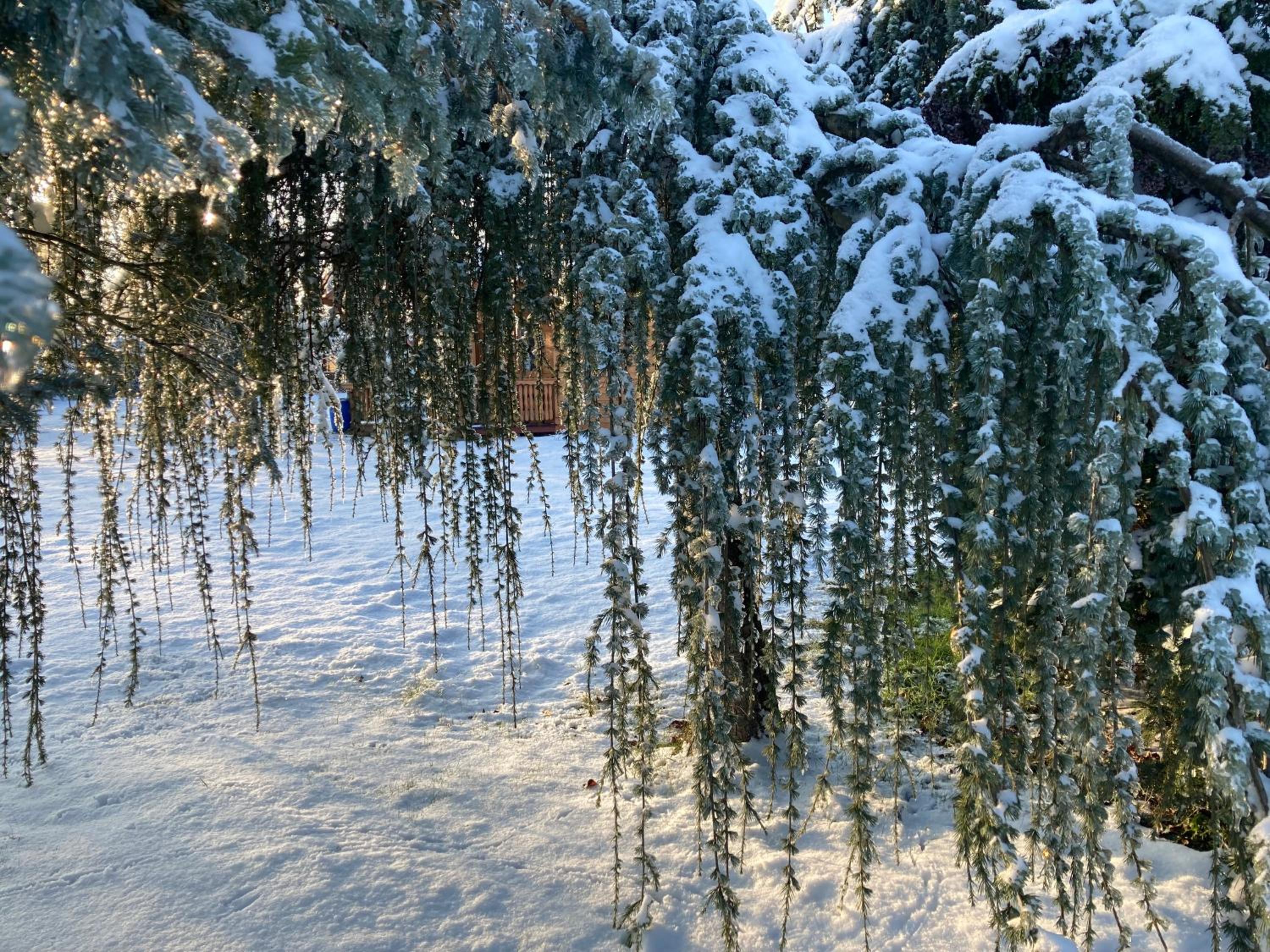 Ferienhaus Gartenblick in Brieden