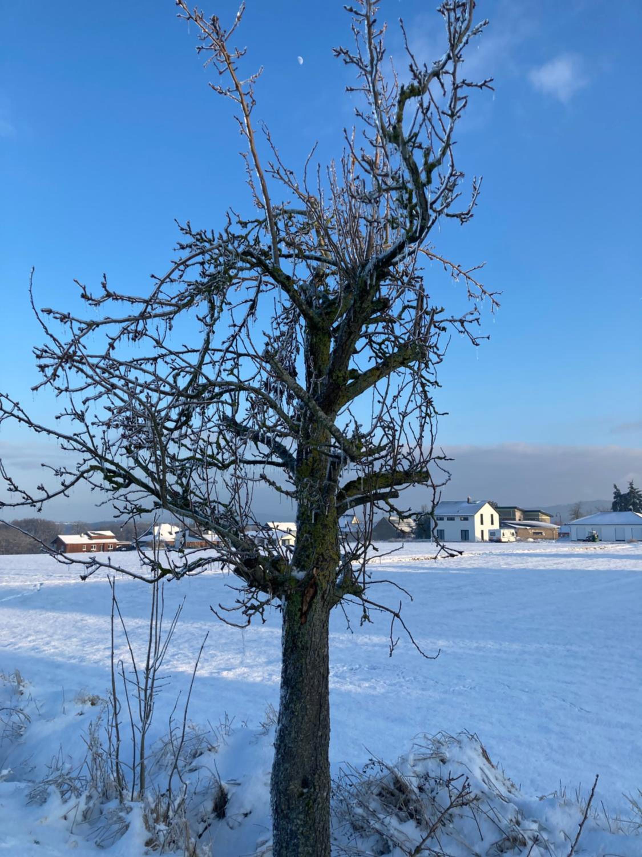 Ferienhaus Gartenblick in Brieden