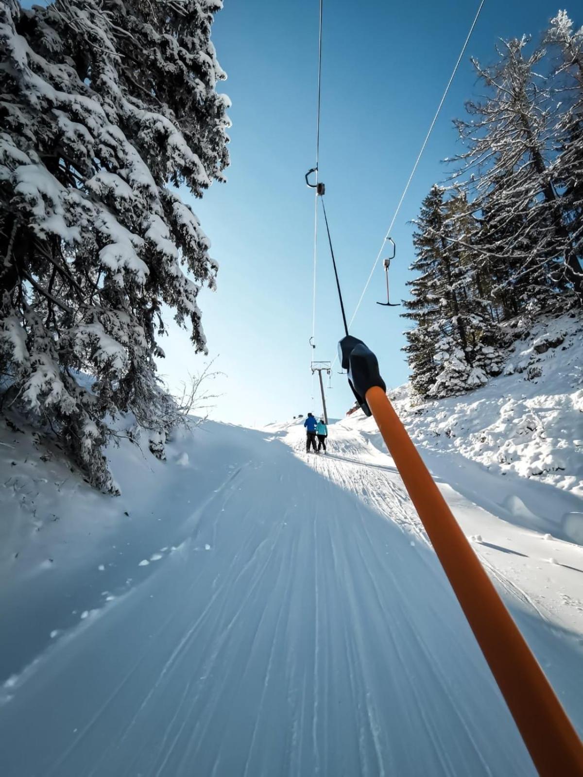 Wohlfühlapartment Dachsteinblick