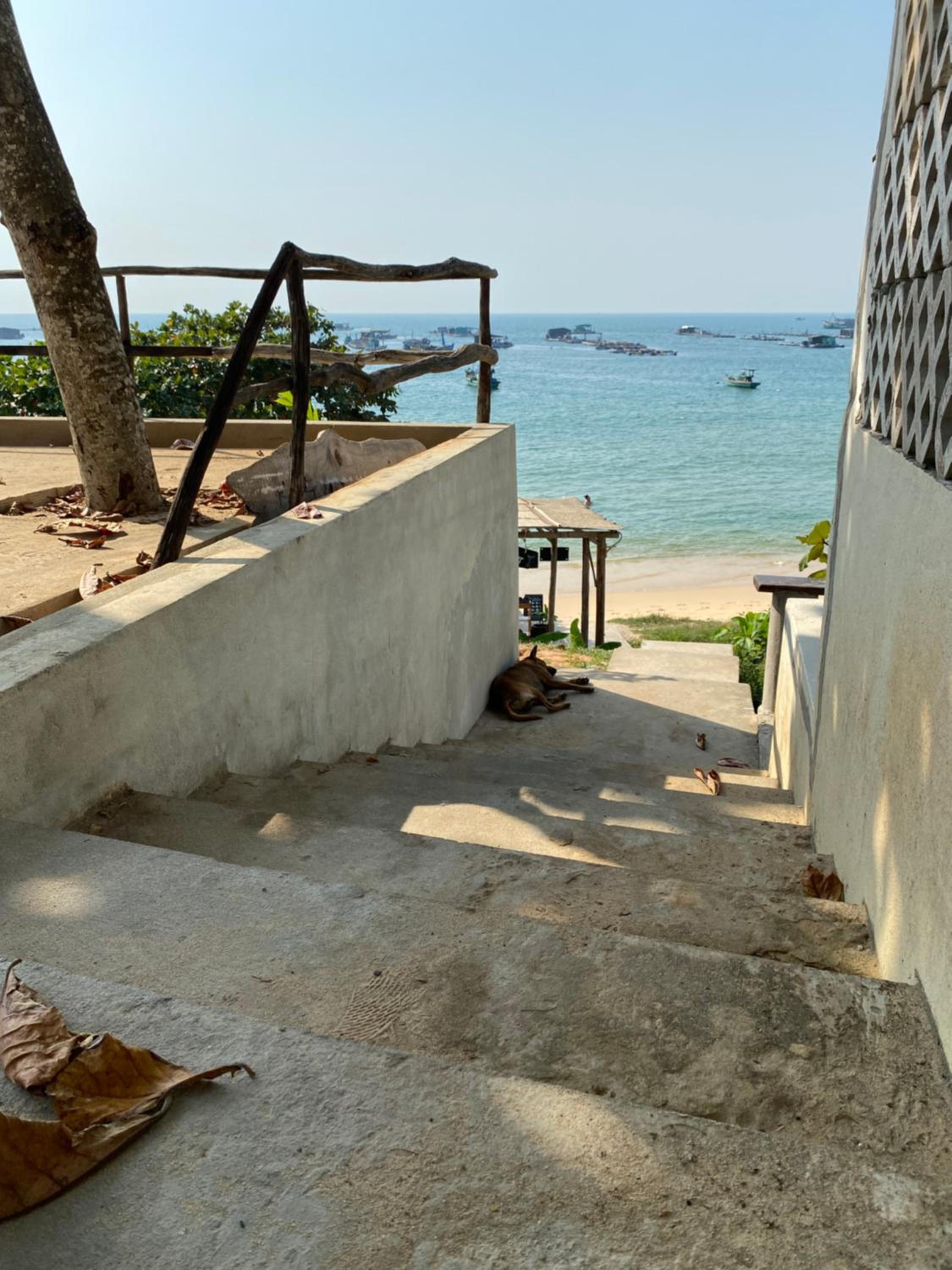 Anchovy Beach House in Phu Quoc view 5