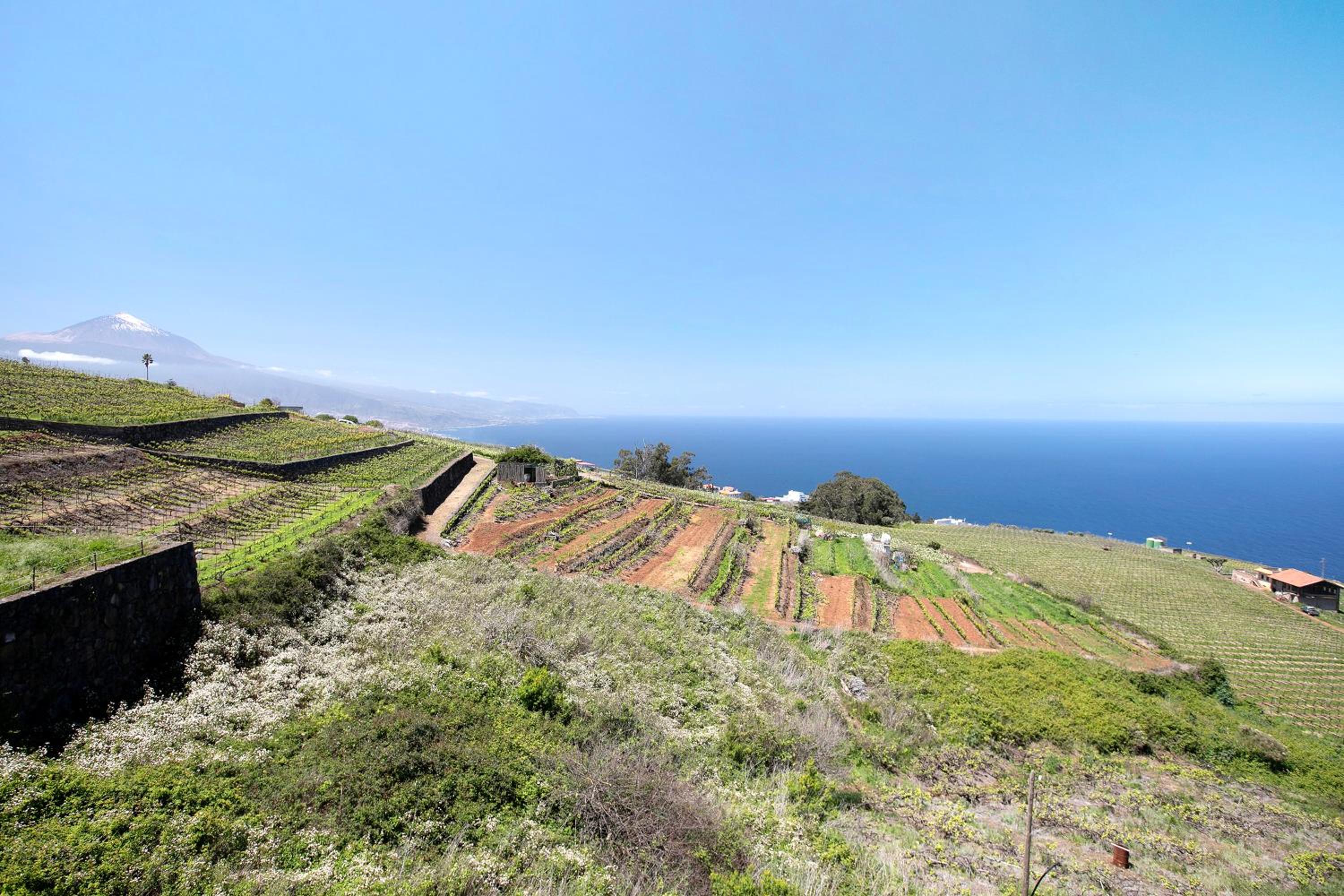 Spr Finca