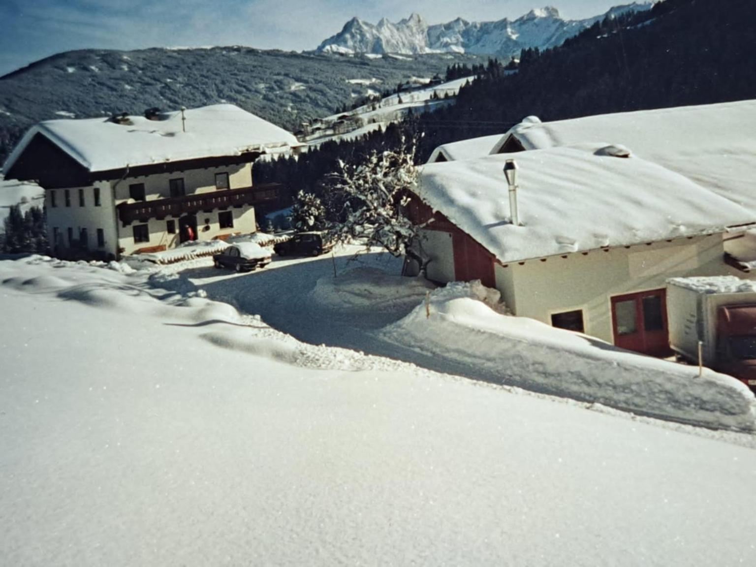 Luxus-Apartment-Vorderreit Gut