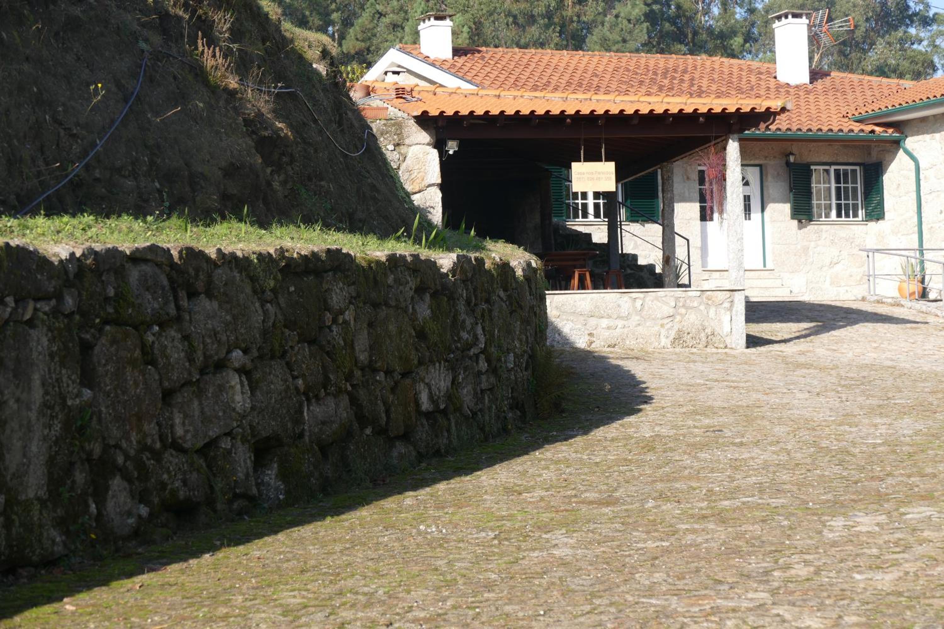 Photo 42