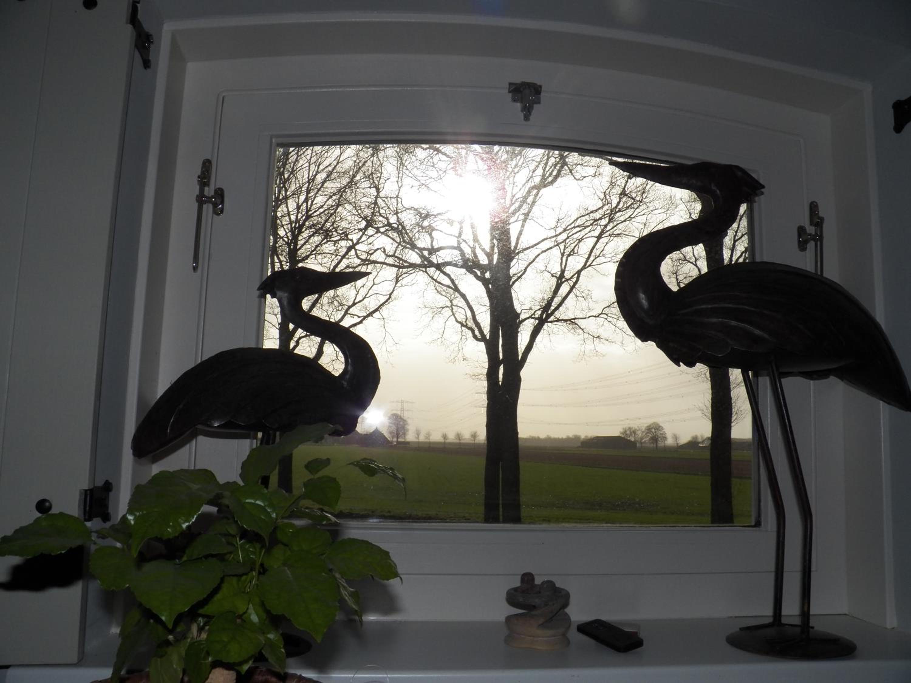 Bij Leentjer geheel appartement