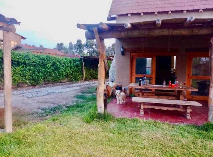 Alquiler Casa Campo Ica view 5