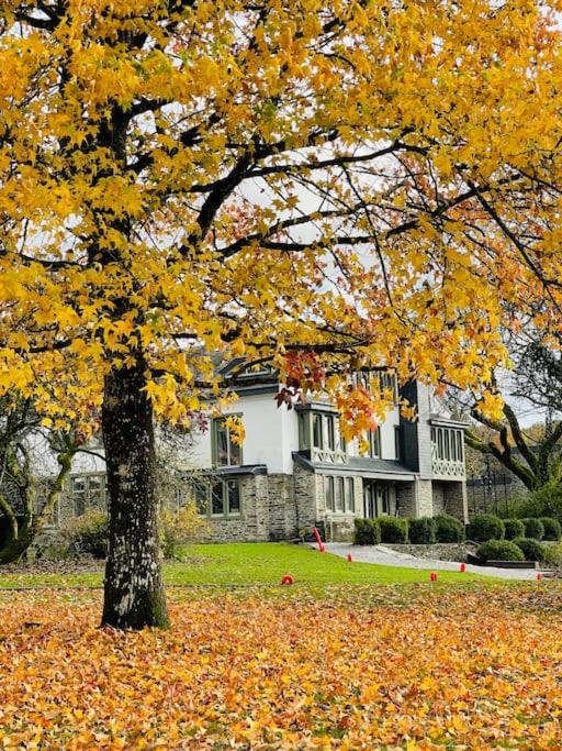 Manoir Nestor - Chairière
