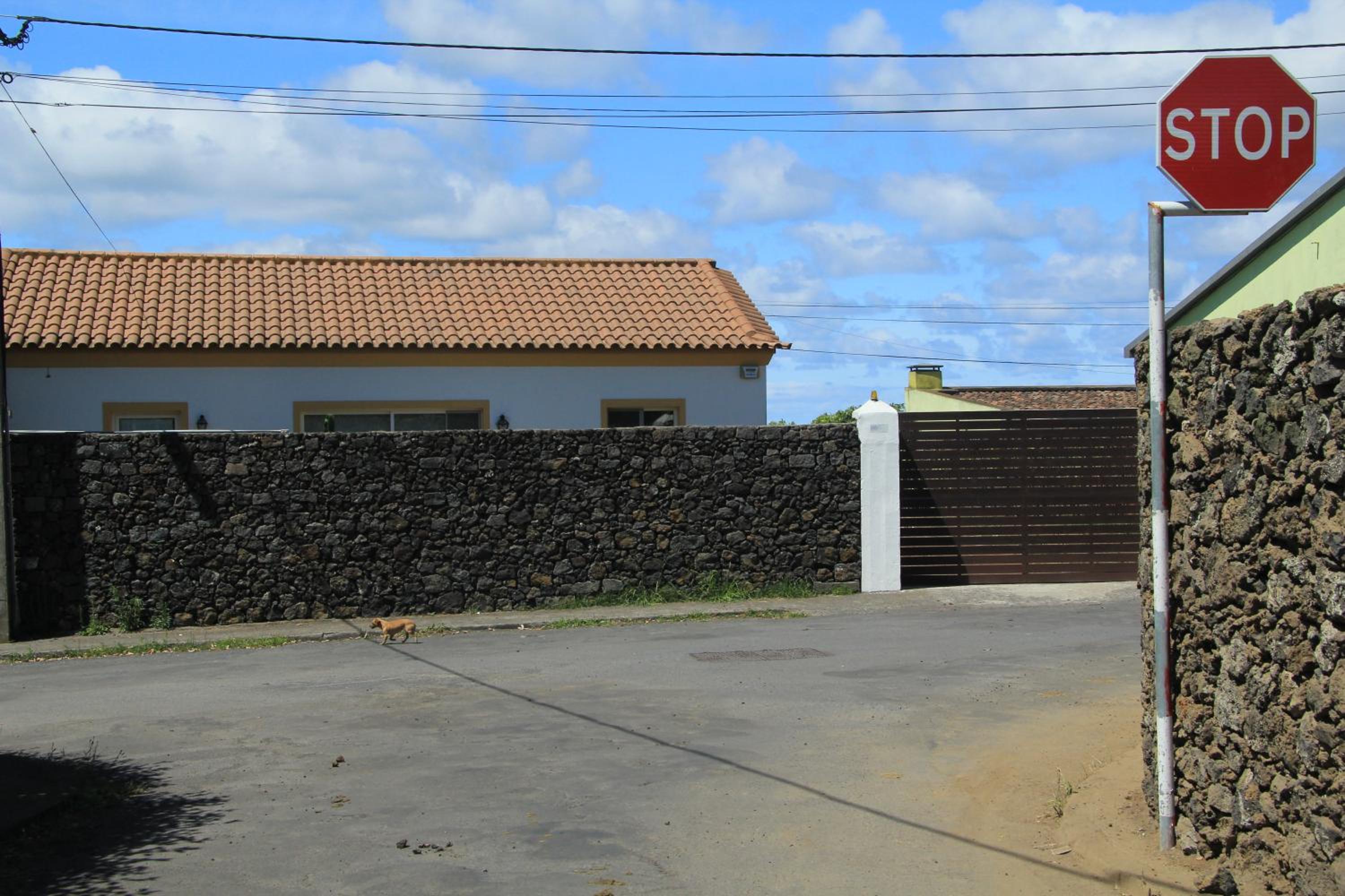 Photo 49