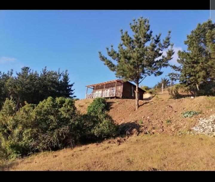 Cabaña De Descanso