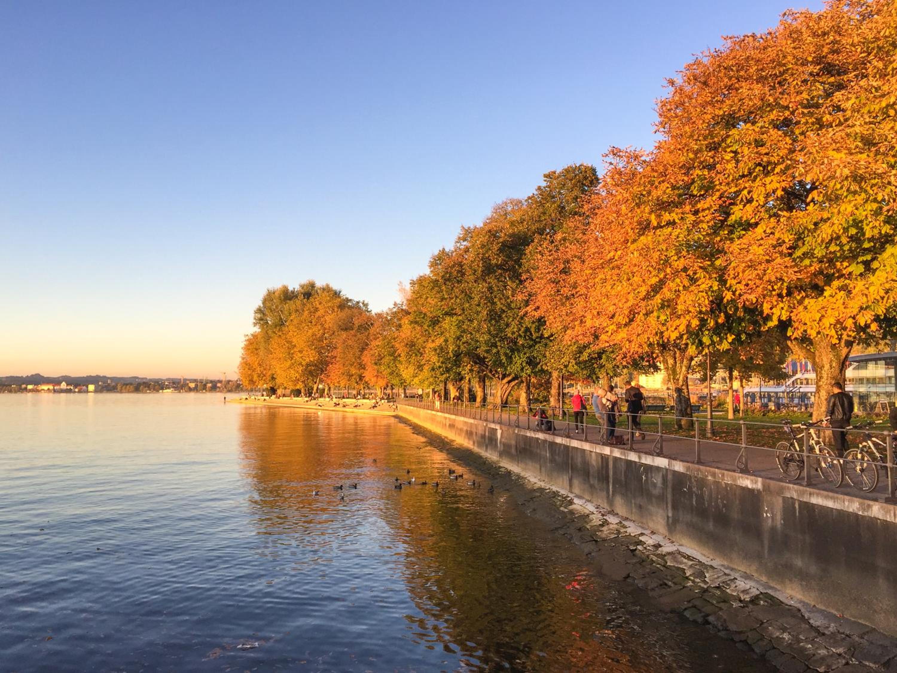 Seeblick Bregenz - mit Parkgarage